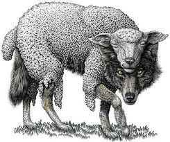 wolf in sheeps clothing