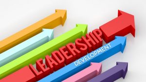 Leadership development