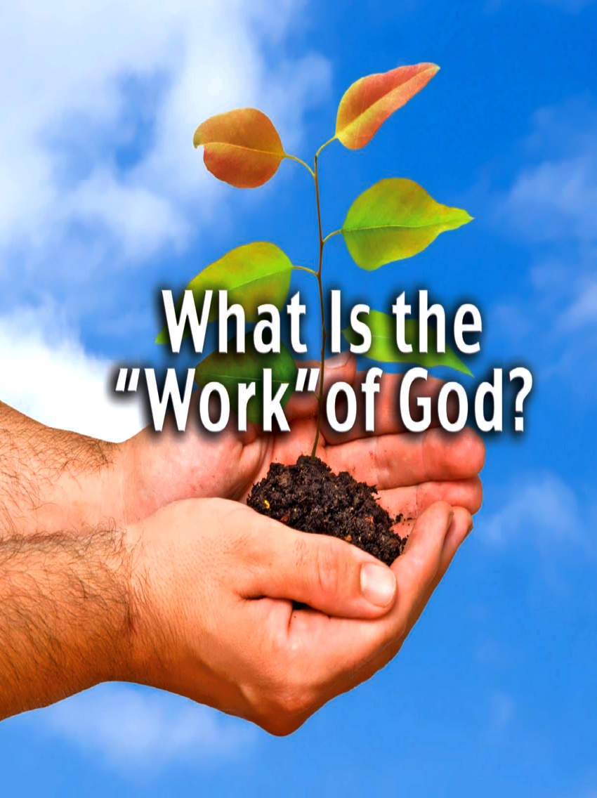 What is the Work of God? Is an explanation of what is the work of God, because many ministries have completely lost this concept in its correct sense.